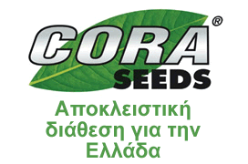 SYNERGASIES